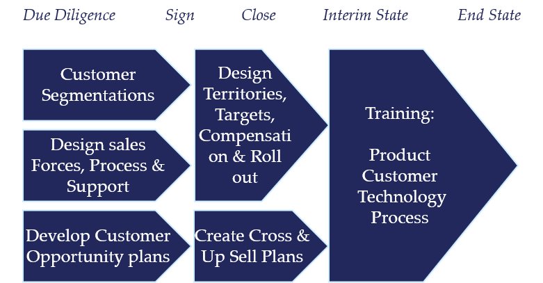 M&A Integration Sales Force Structure